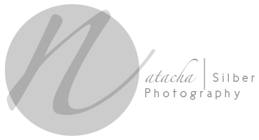 Main site EN logo